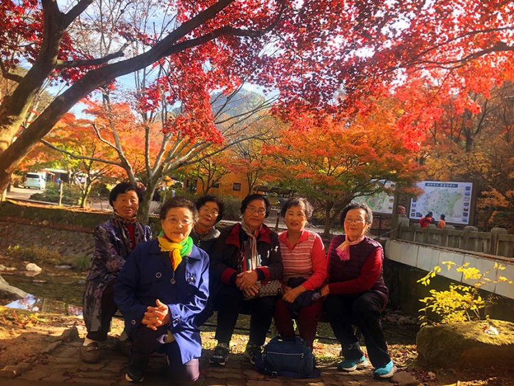 e05a0f42e4dd52b100c794139021b910_1573806